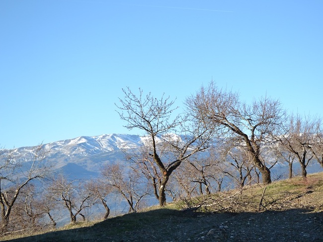 Uitzicht op de Sierra Nevada vanuit wijnmuseum Alpujárride