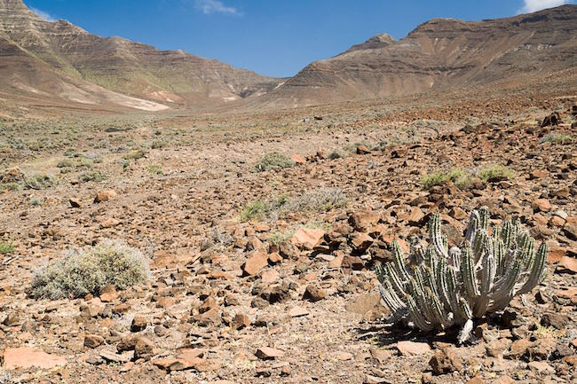 Een droog woestijnlandschap in de Gran Valle vallei op Fuerteventura (Spanje)