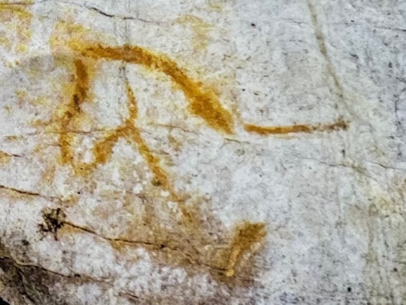 Oudste rotstekening in Cueva de la Pileta is 40.000 jaar oud