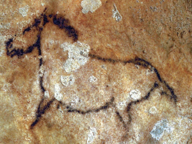 Een prehistorische grotschildering in de Santimamiñe grot in Baskenland (Noord Spanje)