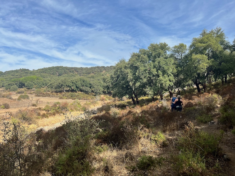 Wandelen tussen kurkeiken in de Sierra de Grazalema